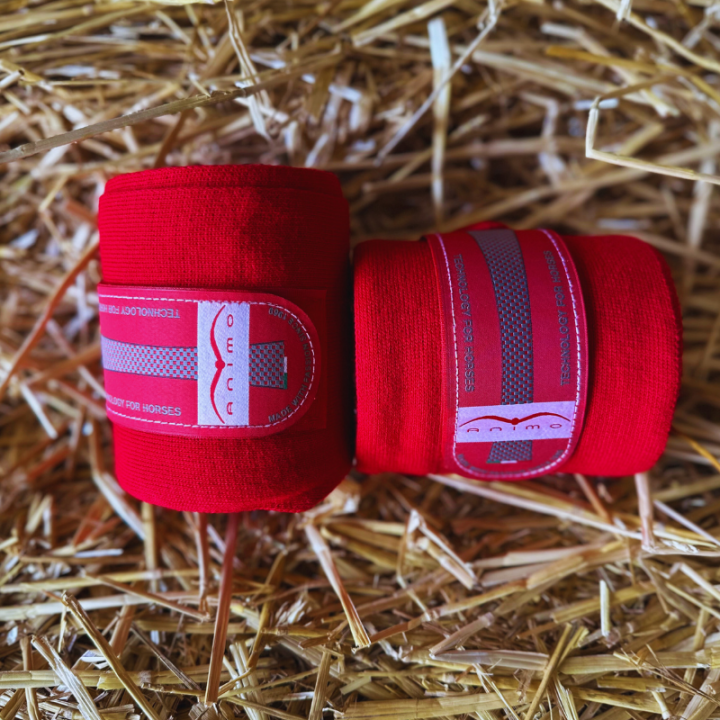 Bandes de repos Animo Web