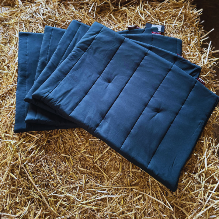 Cotons américains Animo Well