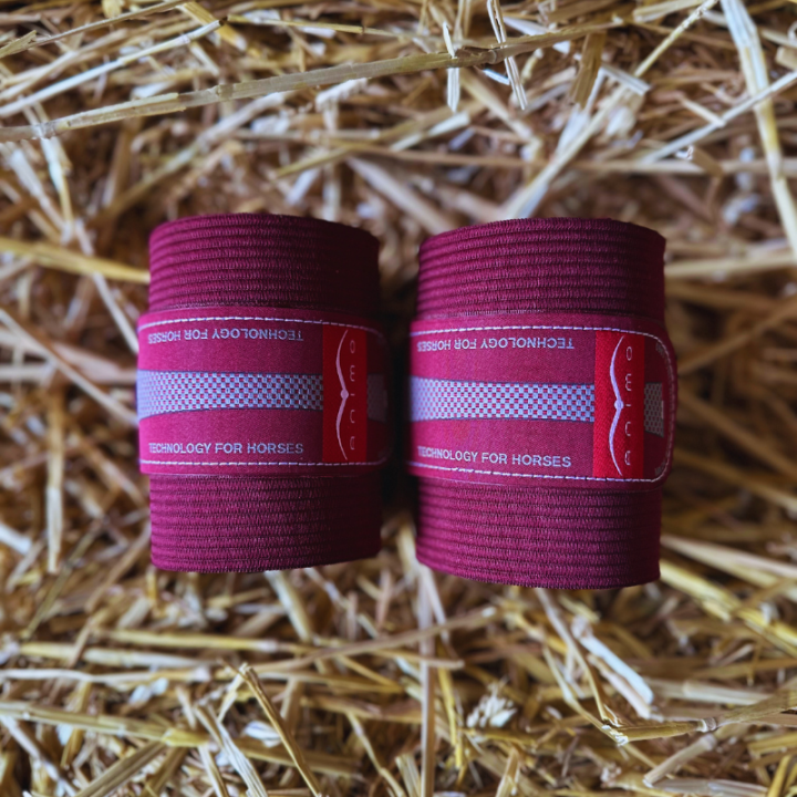 Bandes de travail Animo Wenz