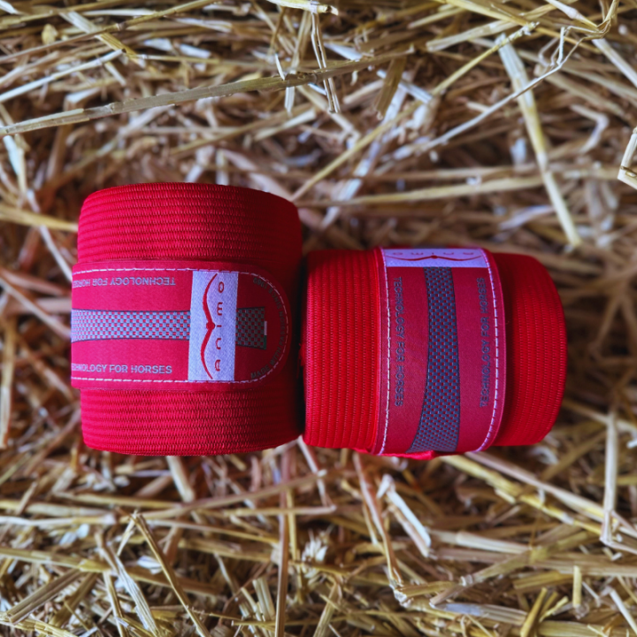 Bandes de travail Animo Wenz