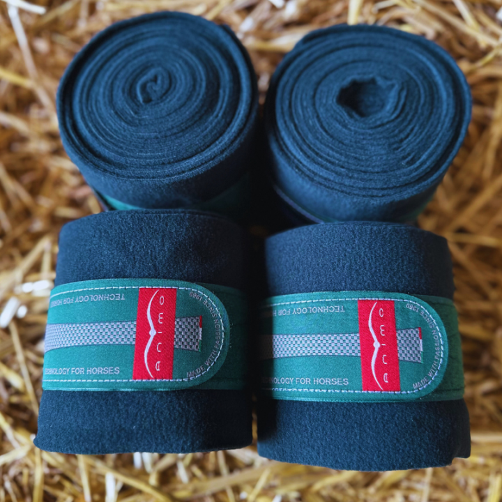 Bandes de polo Animo Wils