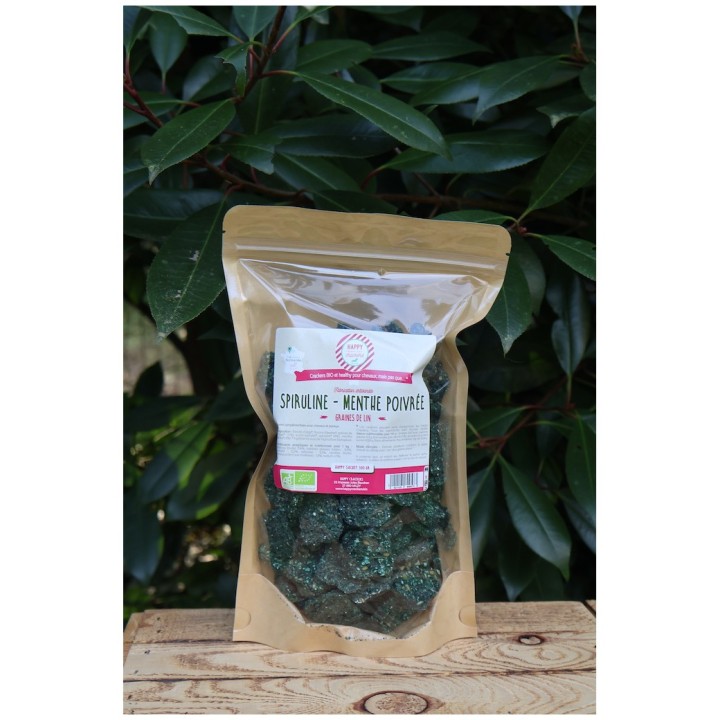 Crackers Spiruline & Menthe Poivrée