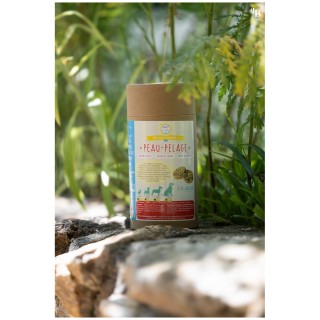 Cure Peau Pelage Dog