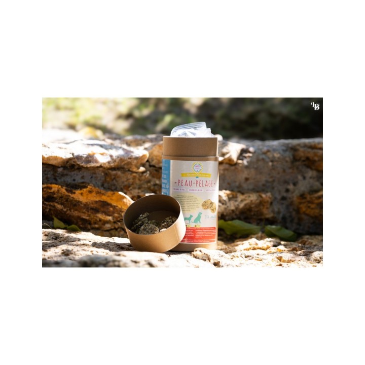 Cure Peau Pelage Dog