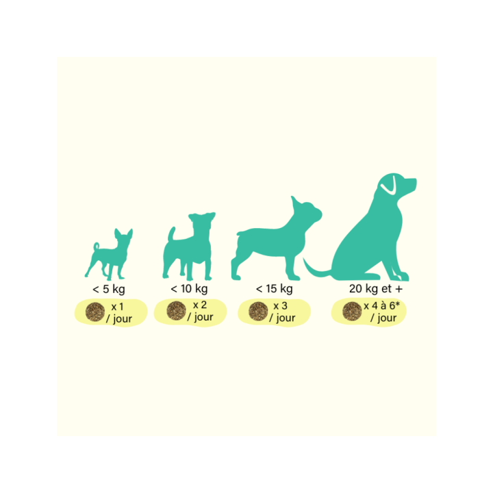 Cure Peau Pelage Dog