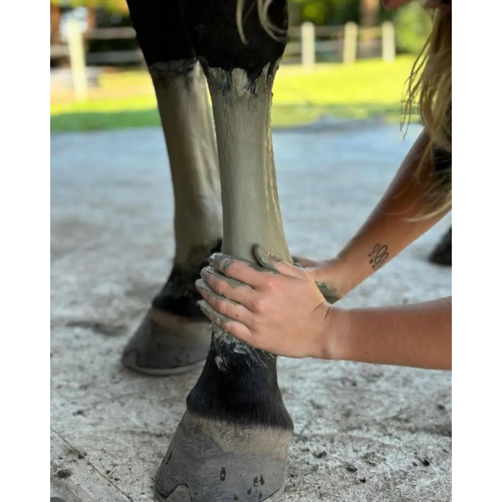 Astrinjambes - Argile verte - ESC Laboratoire