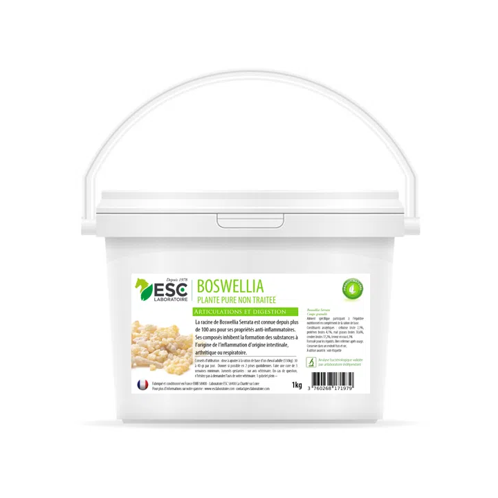 Boswellia Serrata - Sensibilités Articulaires et Pulmonaires