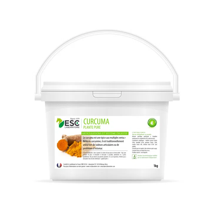 Curcuma - Sensibilités Articulaires et Digestives