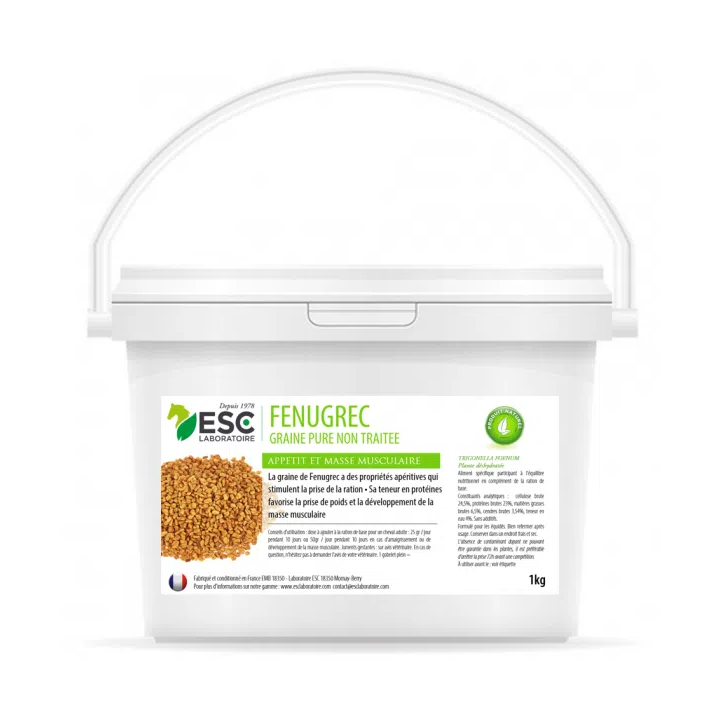 Fenugrec - Prise d'État et Développement Musculaire