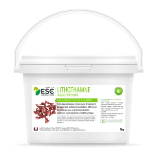 Lithothamne - Réminéralisation et Acidité Gastrique