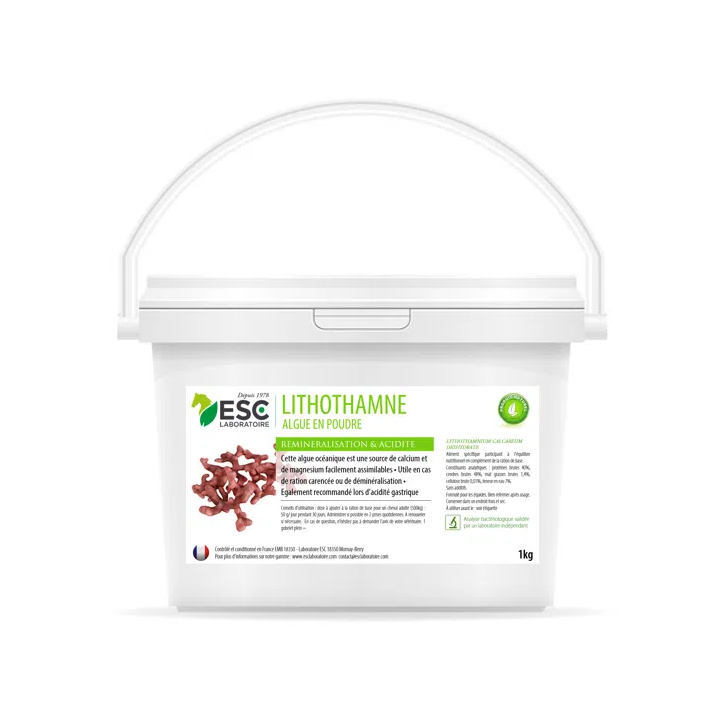 Lithothamne - Réminéralisation et Acidité Gastrique