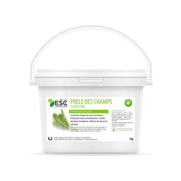 Prele Des Champs - Locomotion et Confort Articulaire