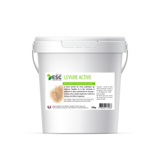 Levure Active - Flore Intestinale et Digestion