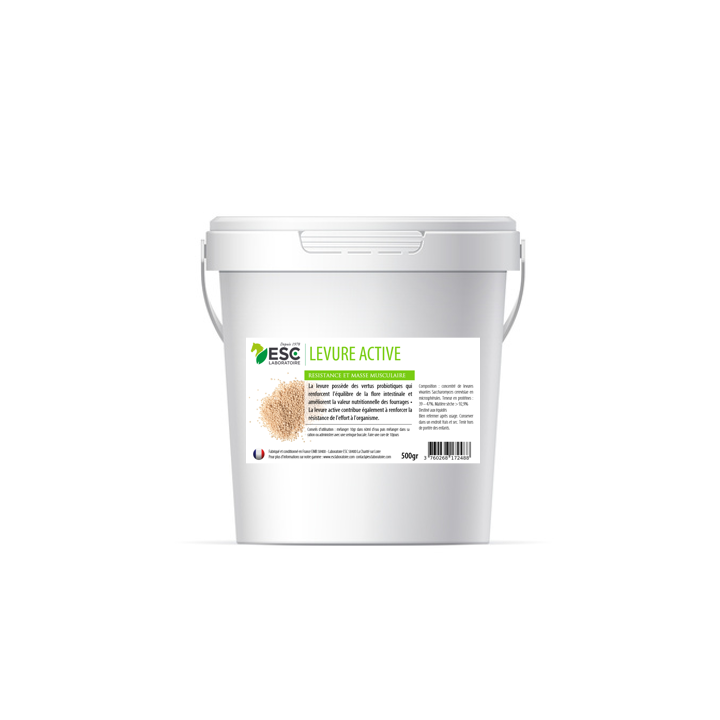 Levure Active - Flore Intestinale et Digestion