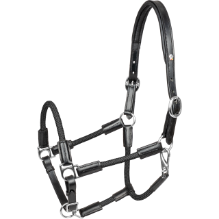 Licol en Cuir Nevada