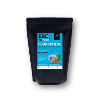 FlorePulse - Flore Intestinale et État Général