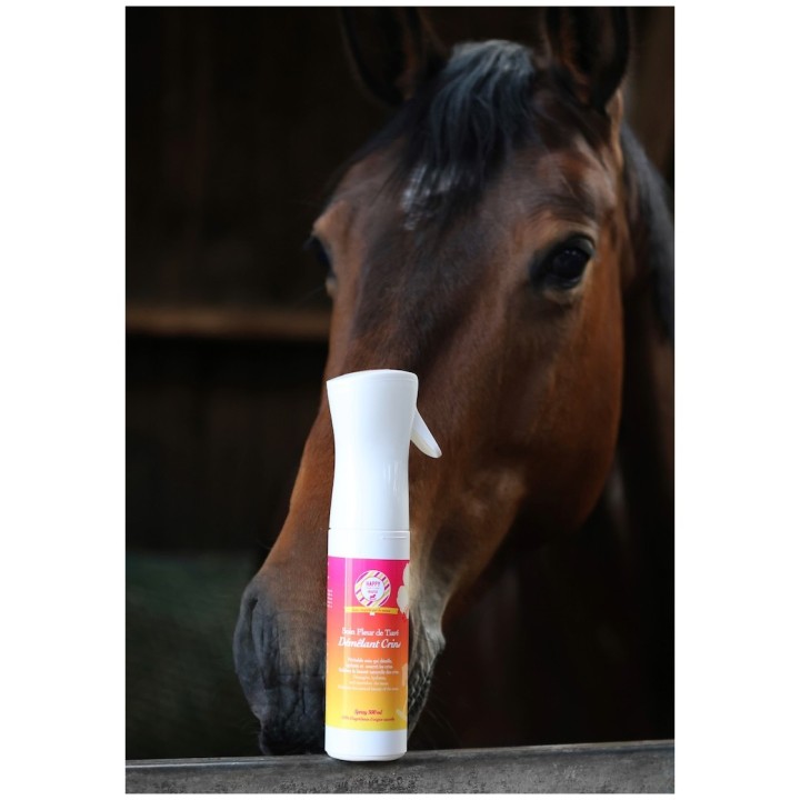 Soin Démêlant Crins - Happy Crackers