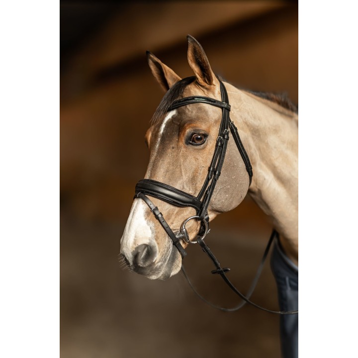 Bridon HFI Edges