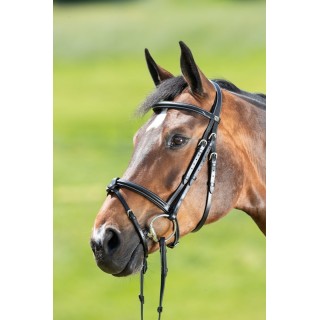 Bridon HFI Anatomic
