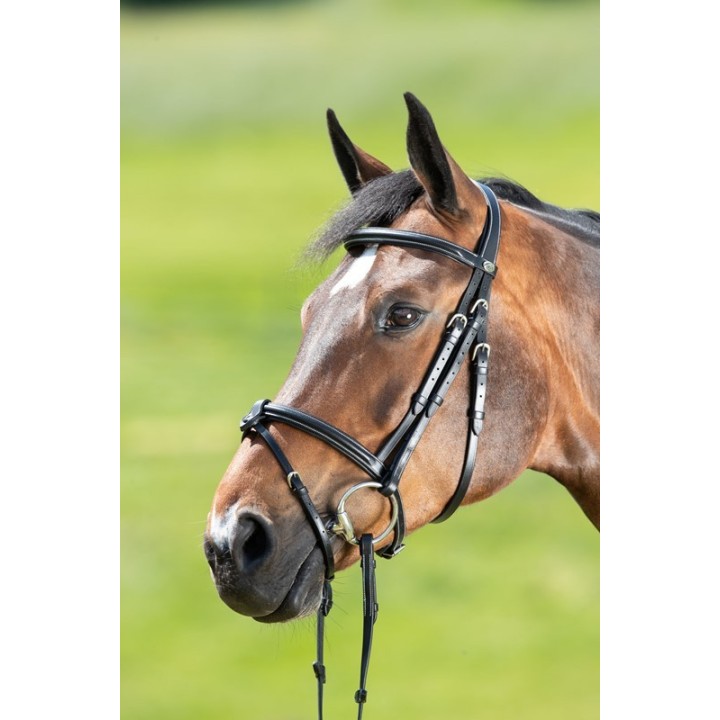 Bridon HFI Anatomic