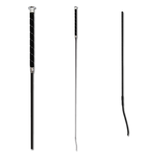 Stick de Dressage