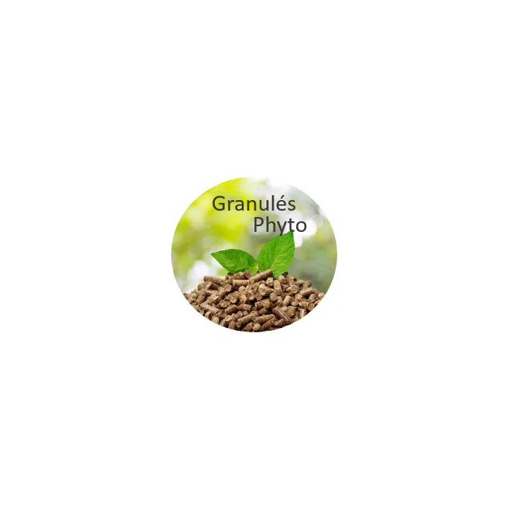 EQUICOMPLEMENT – CMV
