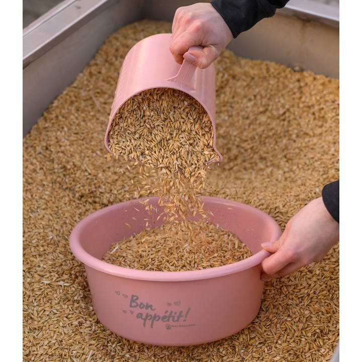 Pelle à grain