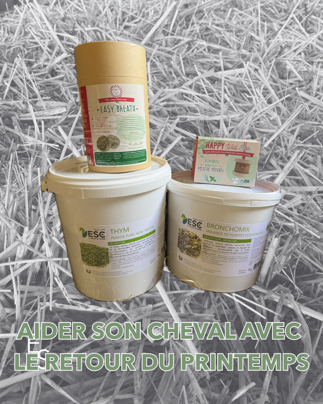 Confort respiratoire et arrivée du printemps Equus Shop