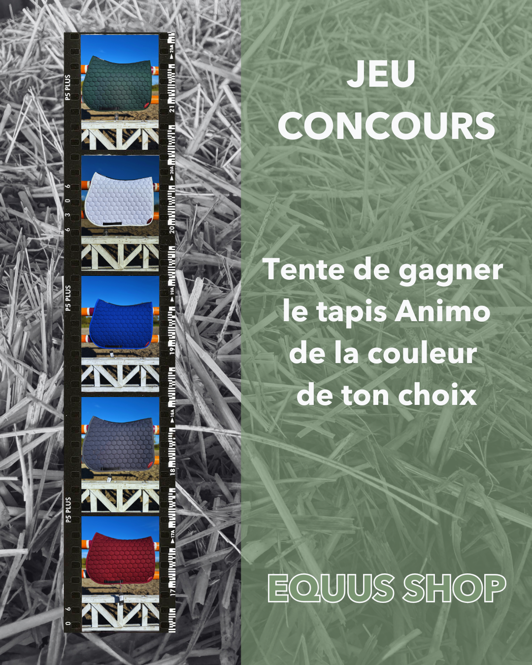 Règlement jeu concours Animo Equus Shop